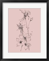Framed Blush Pink Flower