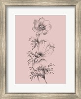 Framed Blush Pink Flower II