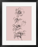 Framed Blush Pink Flower II