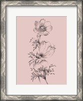 Framed Blush Pink Flower II