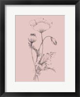 Framed Blush Pink Flower III