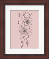 Framed Pink Flower Sketch Illustration I