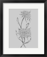Grey Flower Sketch Illustration II Framed Print