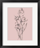 Pretty Pink Flower II Framed Print