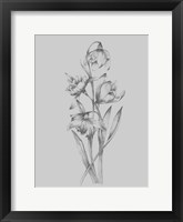 Pretty Flower II Framed Print
