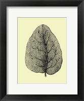 Framed Leaf