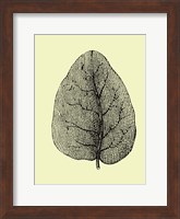 Framed Leaf
