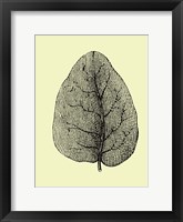 Framed Leaf