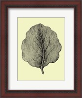 Framed Leaf II