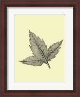 Framed Floating Leaf