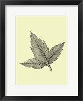 Framed Floating Leaf