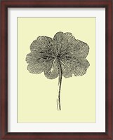 Framed Floating Leaf II