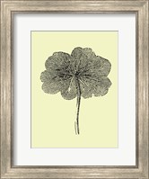 Framed Floating Leaf II