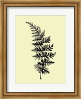 Framed Floating Leaf Branch I