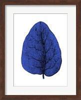 Framed Floating Blue Leaf I