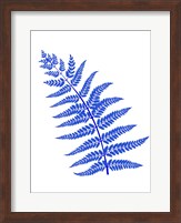 Framed Blue Leaf Plant
