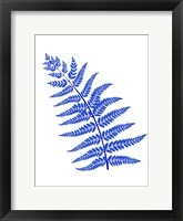 Framed Blue Leaf Plant