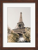 Framed Paris