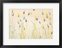 Framed Bugbane Field