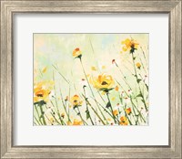 Framed Chrysanthemum and Daisy Field