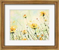 Framed Chrysanthemum and Daisy Field