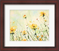 Framed Chrysanthemum and Daisy Field