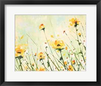 Framed Chrysanthemum and Daisy Field