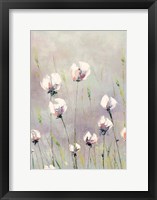 Framed White Tulips