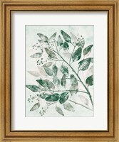 Framed Eucalyptus 1 Green
