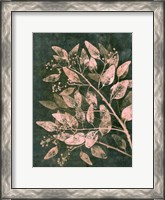 Framed Eucalyptus 1 Moss Blush