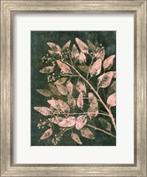 Framed Eucalyptus 1 Moss Blush