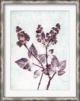 Framed Lilac 1 Aqua Plum
