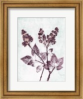 Framed Lilac 1 Aqua Plum