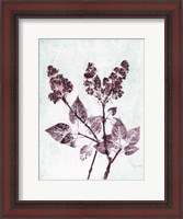 Framed Lilac 1 Aqua Plum