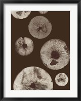 Framed Mushroom 5 Dark Brown