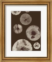 Framed Mushroom 5 Dark Brown