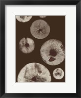 Framed Mushroom 5 Dark Brown