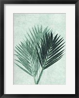 Framed Palm 4 Green