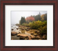 Framed Misty Maine