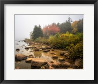 Framed Misty Maine
