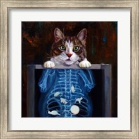 Framed Cat Scan