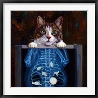 Framed Cat Scan