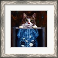 Framed Cat Scan