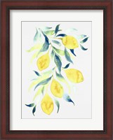 Framed Watercolor Lemons