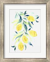 Framed Watercolor Lemons