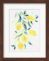Framed Watercolor Lemons