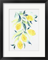 Watercolor Lemons Framed Print