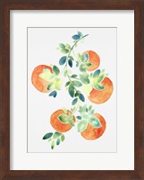 Framed Watercolor Oranges