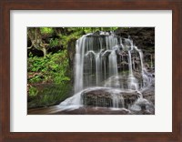 Framed Gunn Brooks Falls