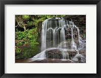 Framed Gunn Brooks Falls